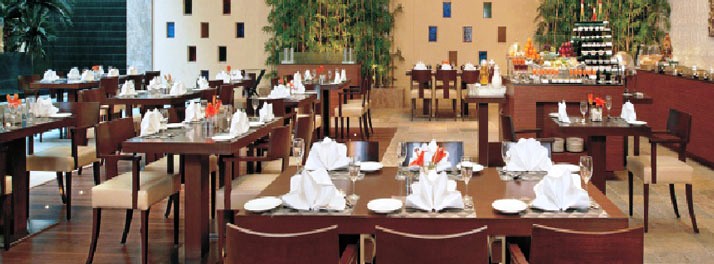 196/Fortune Park D J Avenue - New Delhi 06.jpg